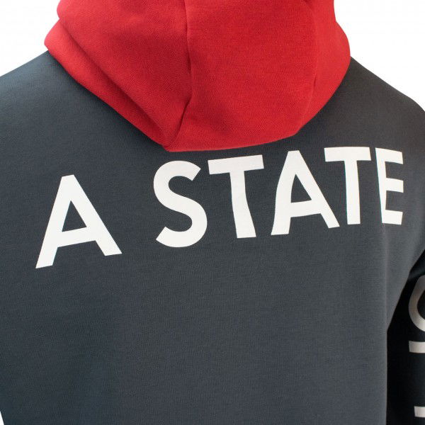 Mick Schumacher Sudadera con capucha Serie 2