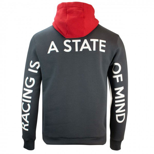 Mick Schumacher Sudadera con capucha Serie 2