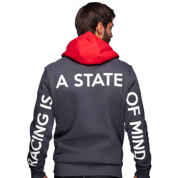 Mick Schumacher Kapuzenpullover Series 2