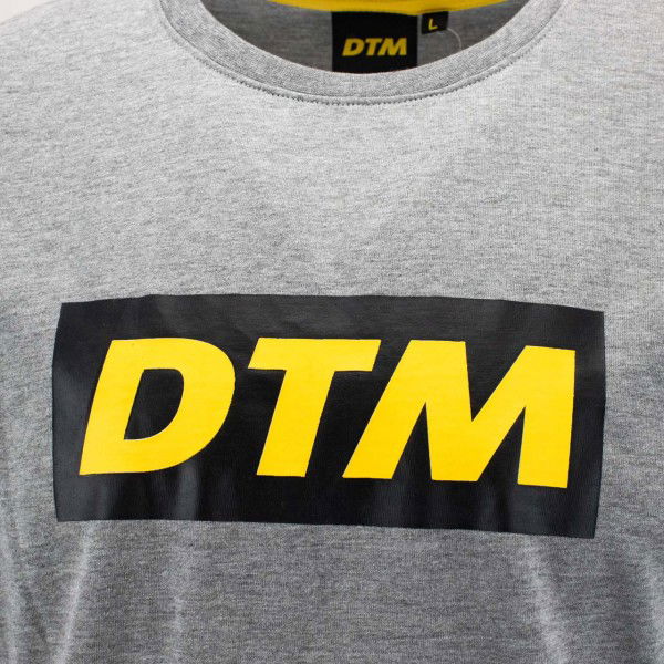 DTM T-Shirt Fan grey