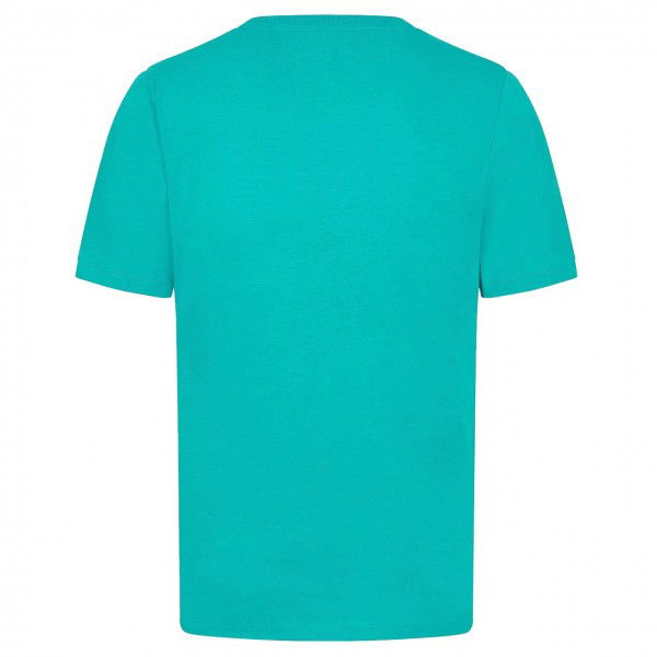 Mercedes-AMG Petronas T-Shirt Logo turquoise