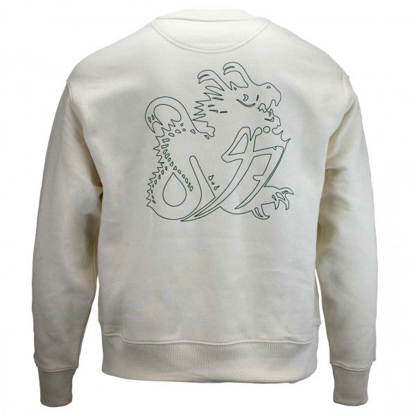 Mick Schumacher Sudadera Dragon