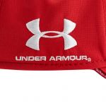 Mick Schumacher Cap Worldchampion 2020 red