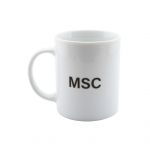 Mick Schumacher Taza Series 2