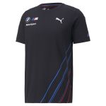 BMW Motorsport T-Shirt grey