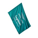 Aston Martin F1 Official Team Bandera