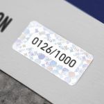 Poster Porsche 906 - 12h Race Sebring - 1967