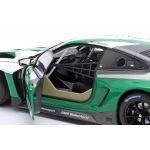 BMW M4 GT3 #11 Marco Wittmann Walkenhorst Motorsport DTM 2022 1/18