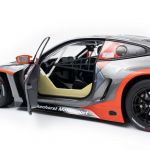 BMW M4 GT3 #102 Walkenhorst Motorsport Course de 24h du Nürburgring 2022 1/18