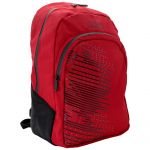 Michael Schumacher Backpack