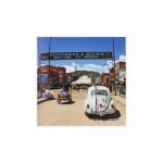 Käfer Love - da Thorsten Elbrigmann