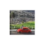 Käfer Love - da Thorsten Elbrigmann