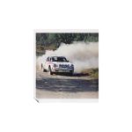 By Walter's Side - Röhrl and Geistdörfer: The Dreamteam of Rallying - von Christian Geistdoerfer