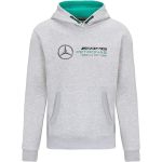 Mercedes-AMG Petronas Felpa con cappuccio Logo grigio
