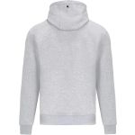 Mercedes-AMG Petronas Kapuzenpullover Logo grau